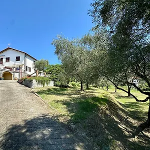 agriturismo-uliveto-bartolomeo.hotelitalianriviera.com/