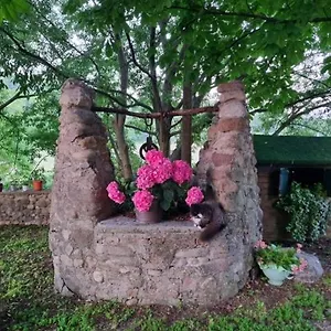 Alloggio per agriturismo In Collina